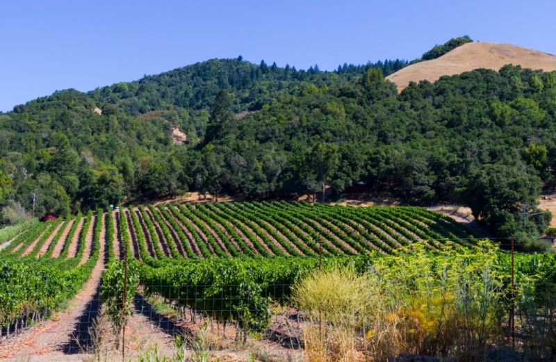 Best Bathroom Remodeling pros in Milford, MI