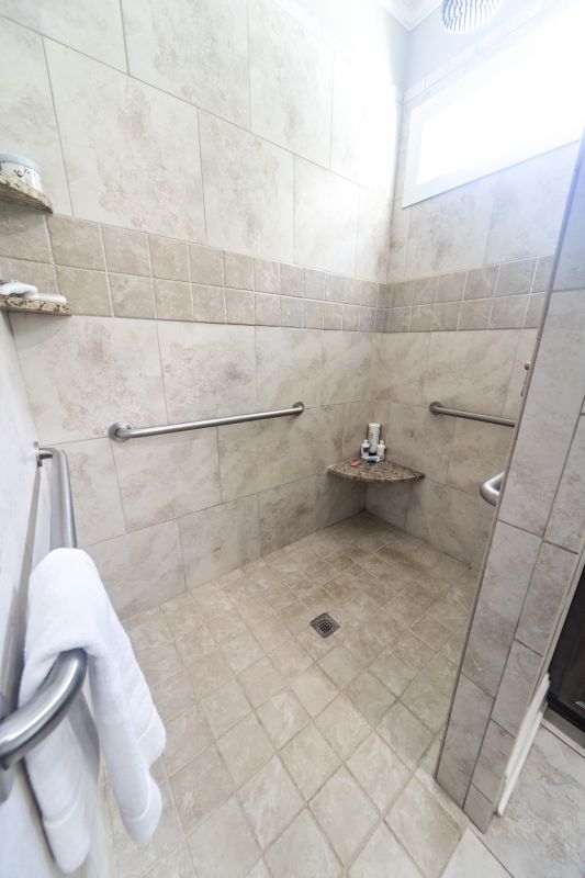 Accessible Walk-In Shower